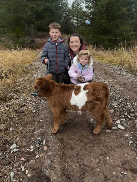 Mini Highland Haven farm in Texas Hill Country